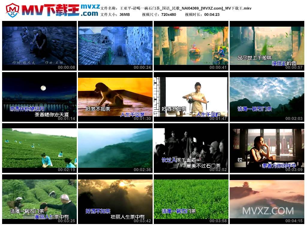 王亚平-请喝一碗石门茶_国语_民歌_NAI04369